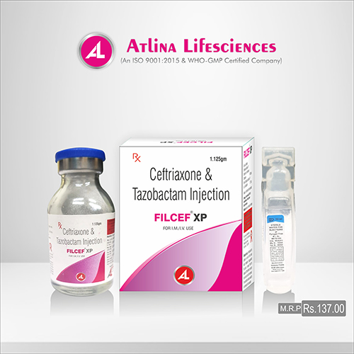 Filcef - XP